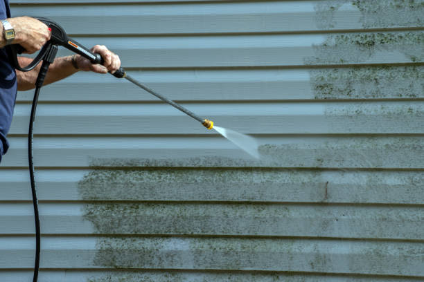 Best Roof Washing  in Swoyersville, PA